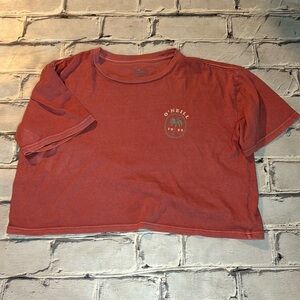 O’Neill oversized cropped tee in a distressed pink